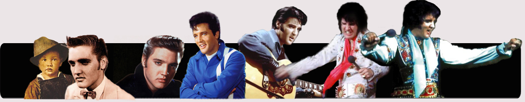 Elvis Banner